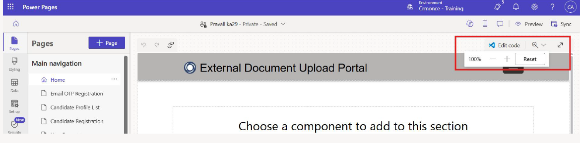 Preview Options